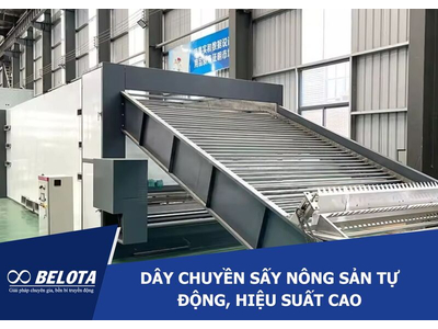Automatic Agricultural Product Drying Line with High Efficiency