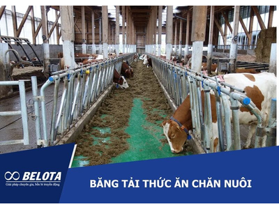 Animal Feed Conveyor Belt