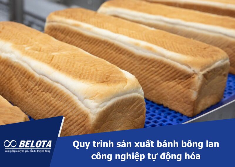 Automated Sponge Cake Production Line Process