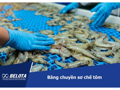 Băng chuyền sơ chế tôm