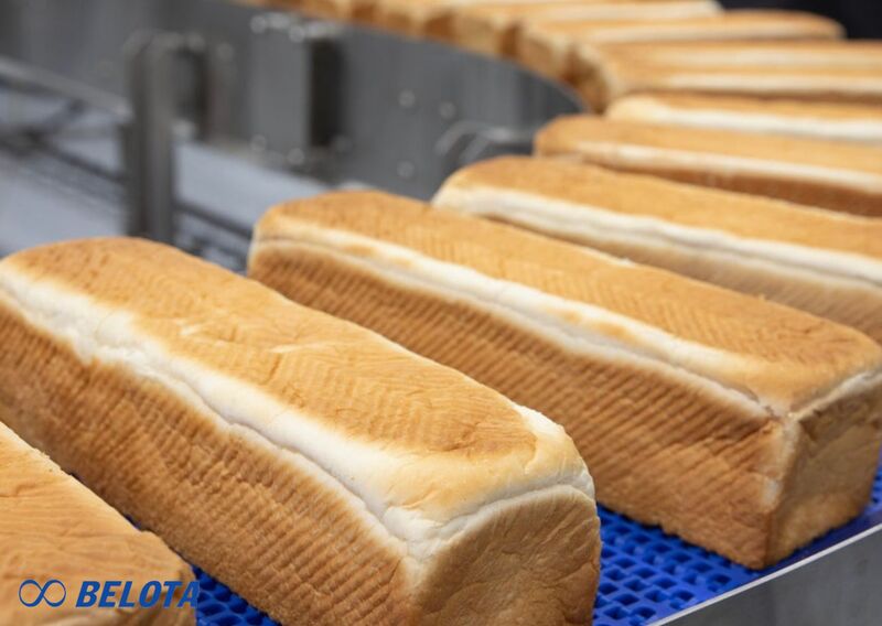 Băng chuyền trong nhà máy bánh kẹo là hệ thống vận chuyển tự động, kết nối các công đoạn từ trộn bột, tạo hình, nướng, làm nguội đến phủ socola và đóng gói