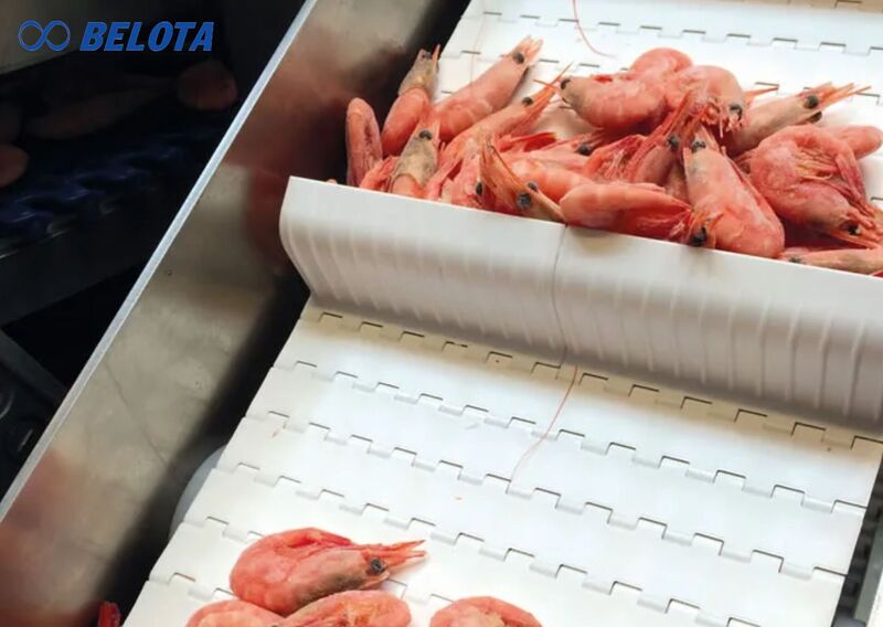 Băng tải Belota không chỉ cung cấp riêng dây băng mà tập trung vào chọn đúng loại băng cho từng công đoạn