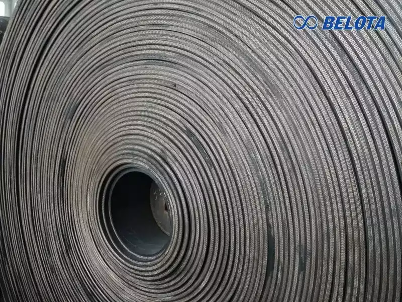 Băng tải cao su 5 lớp bố