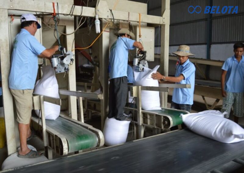 Băng tải cao su đen trơn tải bao gạo