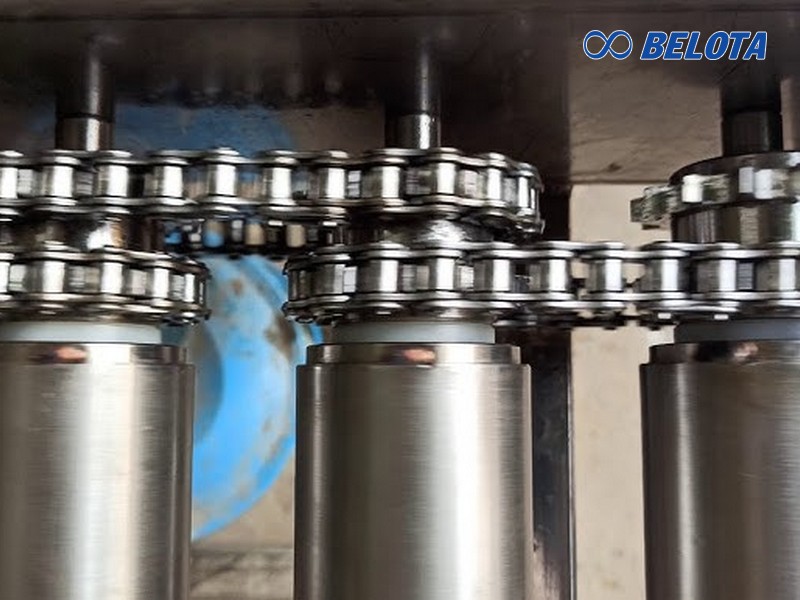 Băng Tải Con Lăn Xích