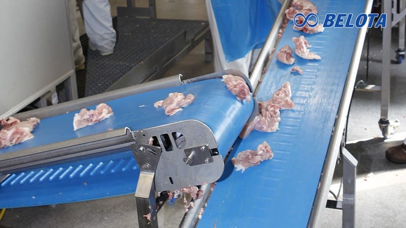 Băng tải đảm nhiệm các khâu sơ chế, rửa, sấy, cấp đông, đóng gói