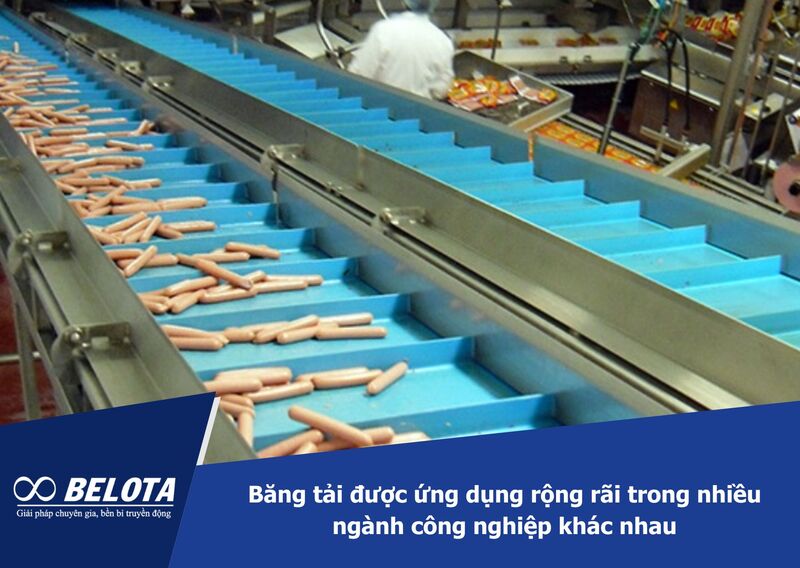 Băng tải được ứng dụng rộng rãi trong nhiều ngành công nghiệp khác nhau
