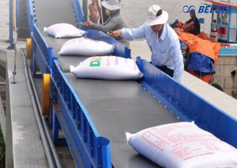 Băng tải gạo là hệ thống băng chuyền chuyên dùng để vận chuyển lúa, gạo, cám, trấu và các loại nông sản