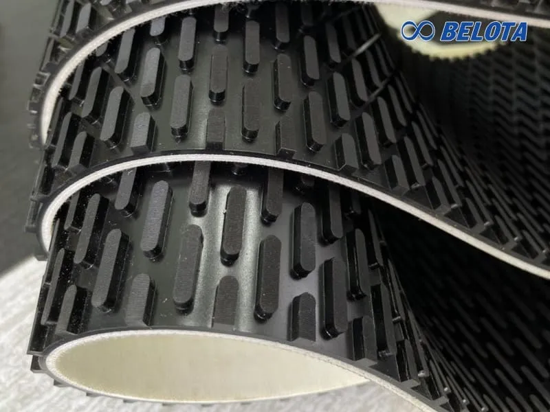 Băng tải hạt dưa