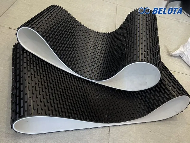 Băng tải hạt dưa