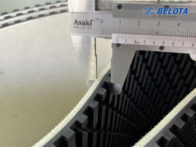 Băng tải hạt dưa