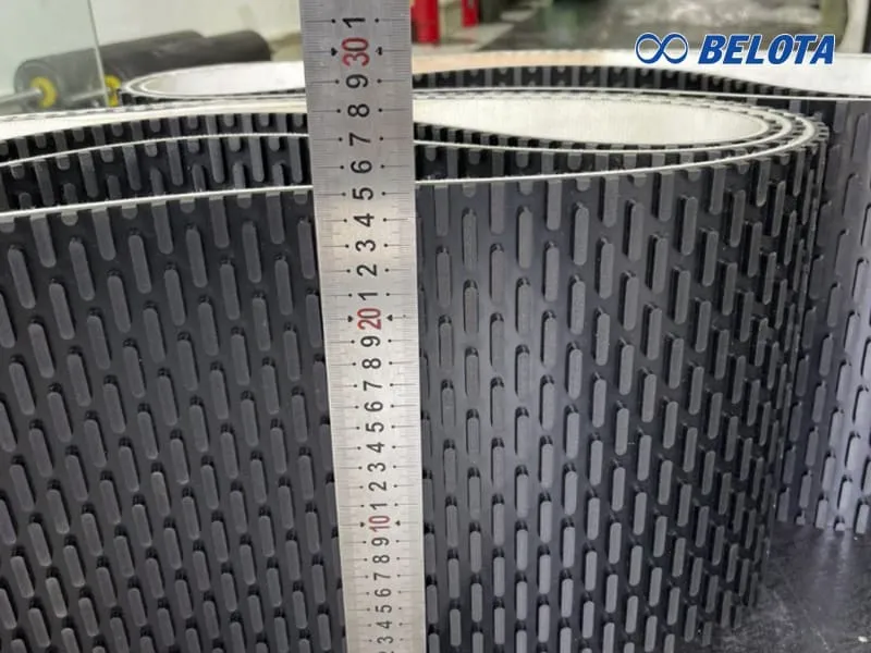 Băng tải hạt dưa