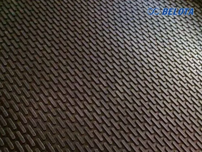 Băng tải hạt dưa