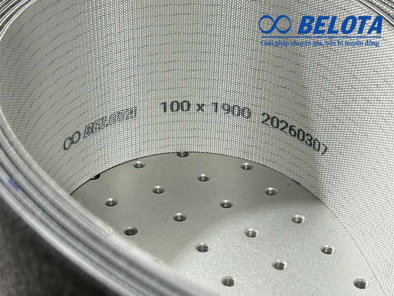 Băng tải lớp trên nỉ lớp dưới bố