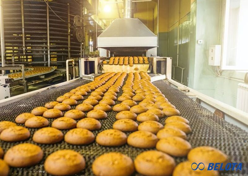 Băng tải lưới chịu được nhiệt độ và tải trọng bao nhiêu