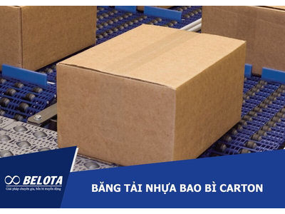 Băng tải nhựa bao bì carton