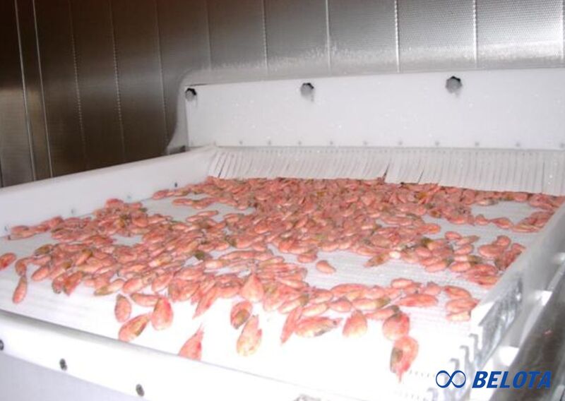 Băng tải nhựa máy cấp đông IQF làm việc ổn định trong môi trường -60°C đến -40°C mà không bị giòn, gãy