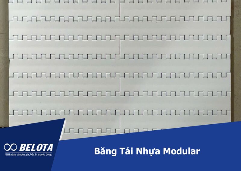 Băng tải nhựa modular chuyên dùng trong các môi trường ẩm ướt, yêu cầu vệ sinh cao