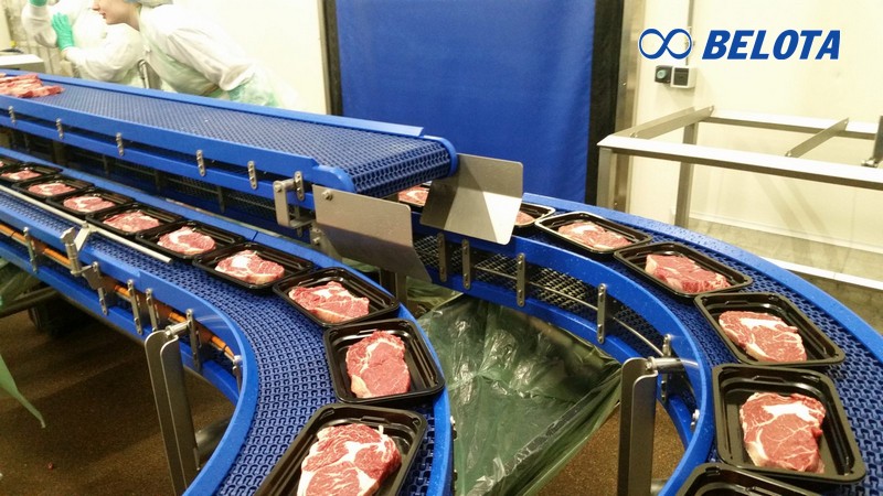 băng tải nhựa pvc