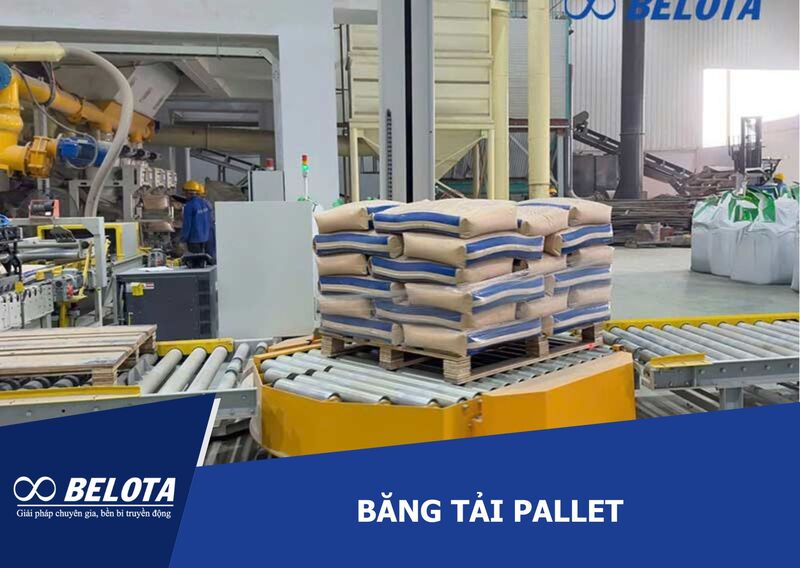 Băng tải pallet