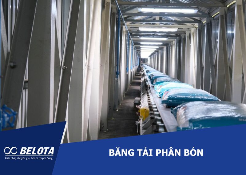 Băng tải phân bón