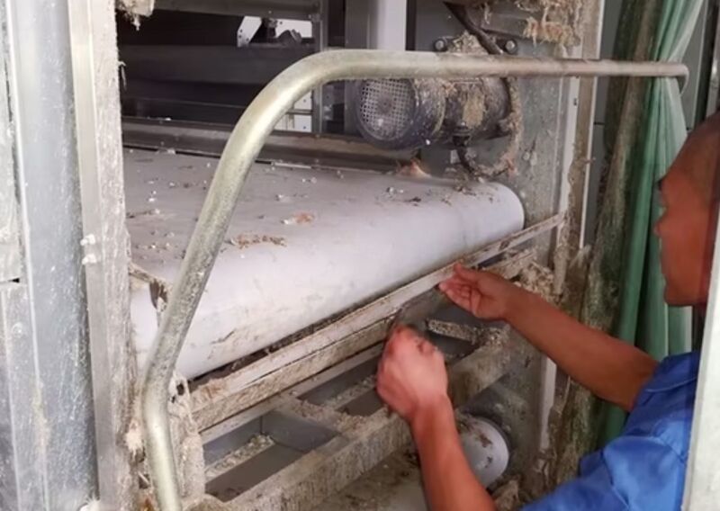 Băng tải phân giúp thu gom và đưa phân ra khỏi chuồng nuôi nhanh chóng