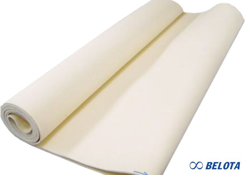 Băng tải Polyester dùng cho vùng nhiệt thấp