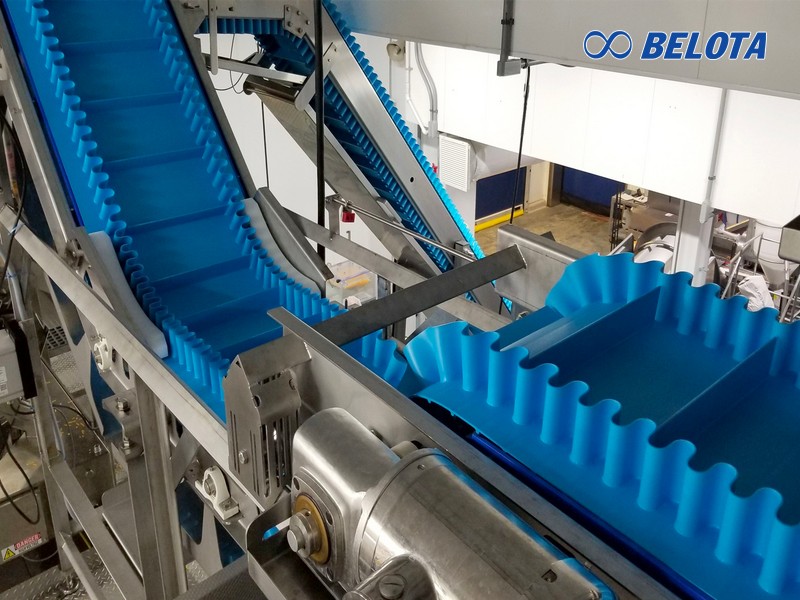 Băng tải PU đồng nhất là dòng băng tải cao cấp sử dụng chế biến thịt và thủy hải sản