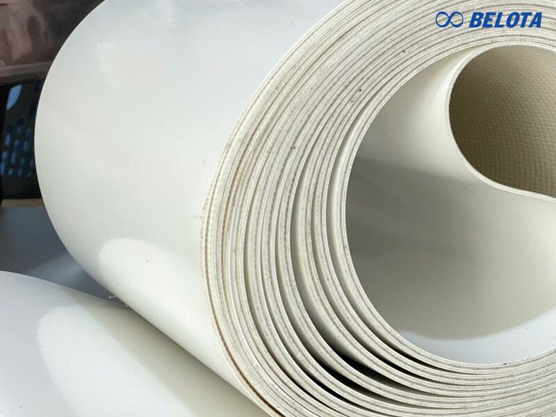 Băng tải PU trắng