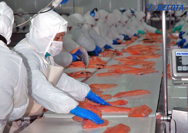 Băng tải PU ứng dụng trong ngành thủy sản