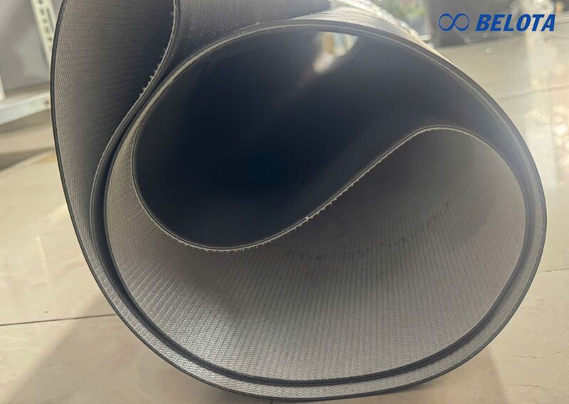 Băng tải Sampla được sử dụng rộng rãi trong nhiều lĩnh vực