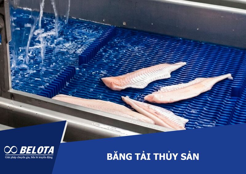 Băng tải thủy sản