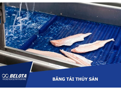 Băng tải thủy sản