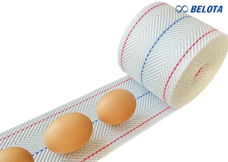 Băng tải trứng gà là hệ thống băng chuyền chuyên dùng để thu gom và vận chuyển trứng