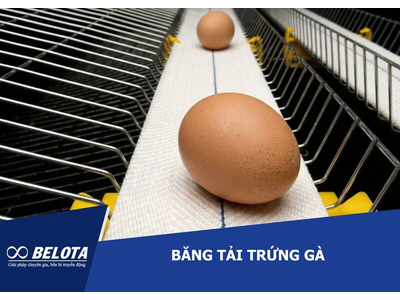 Băng tải trứng gà