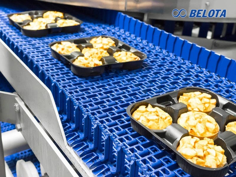 Băng Tải Nhựa Xoắn Ốc Spiral