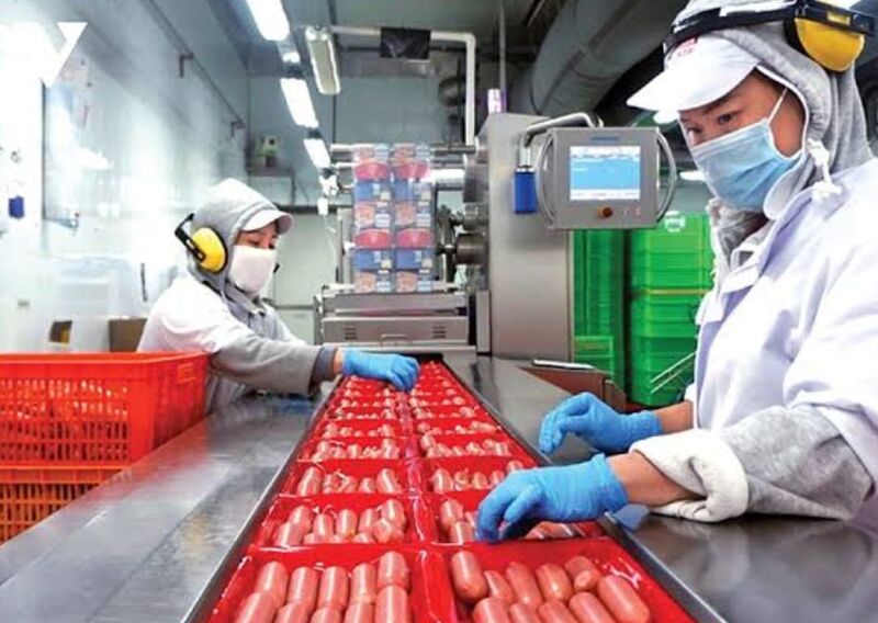 Belota cung cấp vật tư cho dây chuyền sản xuất xúc xích