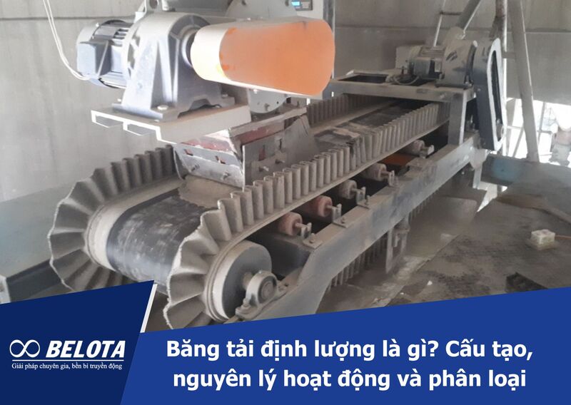 What is a Belt Weigh Feeder? Structure, Working Principle, and Types