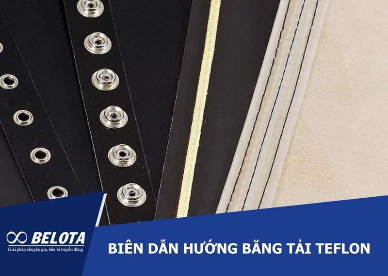 Biên dẫn hướng băng tải Teflon - Chi tiết các loại phổ biến