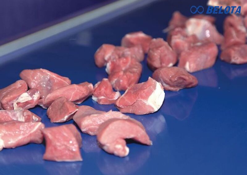 Các dòng băng tải PU Habasit Cleandrive™