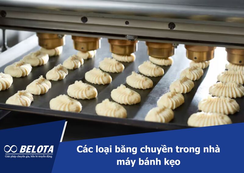 Các loại băng chuyền trong nhà máy bánh kẹo phù hợp nhất