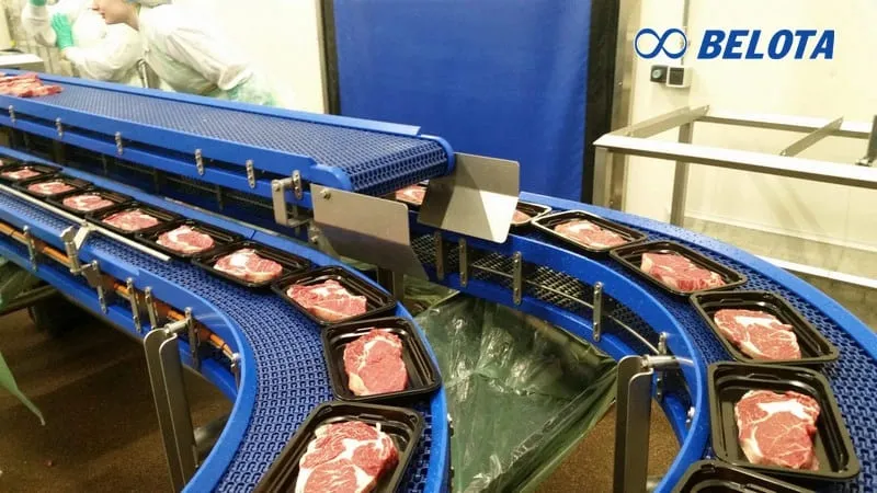 Các loại băng tải nhựa thực phẩm nên dùng nhất hiện nay