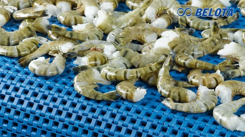 Các lưu ý khi sử dụng dây tải nhựa giúp tăng độ bền