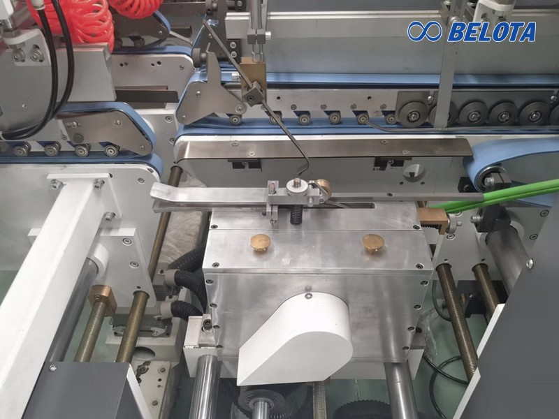 Các Mã Dây Đai Phổ Biến