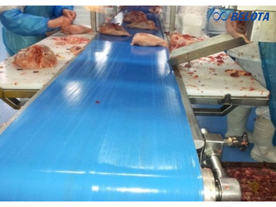 Cách chọn băng tải tốt nhất để sản xuất chế biến thịt
