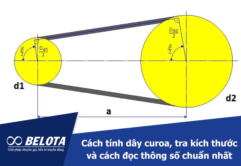 How to Calculate V-Belt Length, Use Size Charts, and Read Specifications Accurately