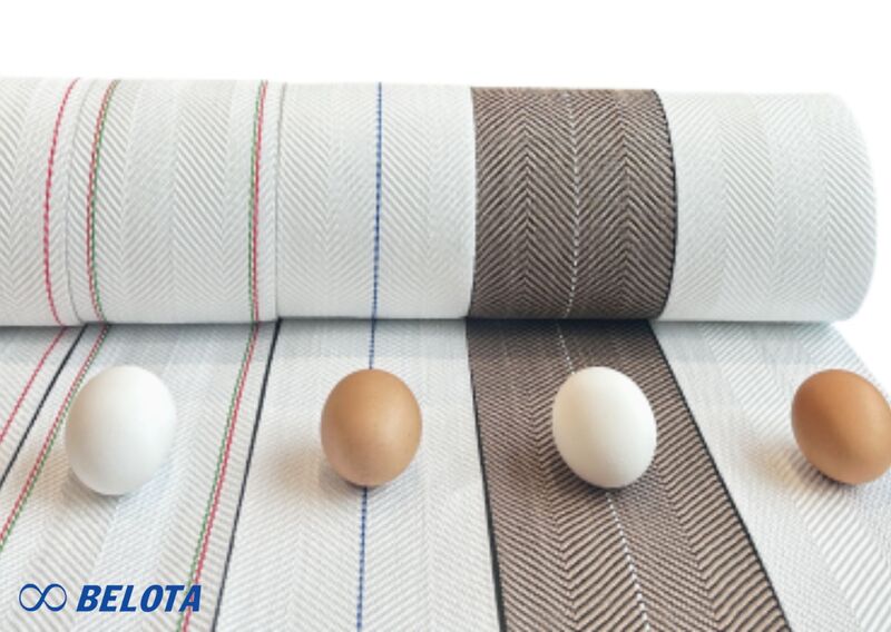 Cấu tạo của băng tải thu gom trứng