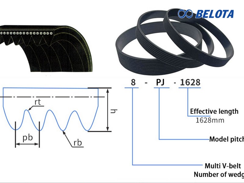Cấu tạo và thông số kỹ thuật dây curoa PJ