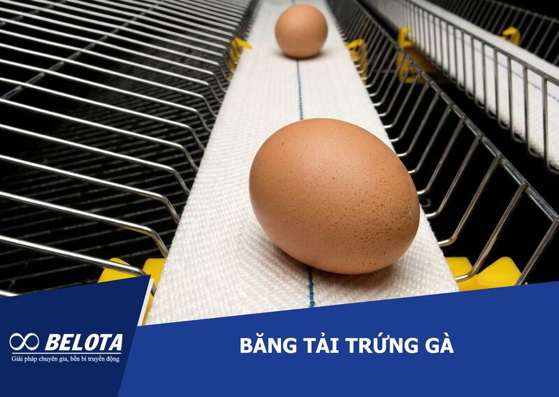 Chicken Egg Conveyor Belt