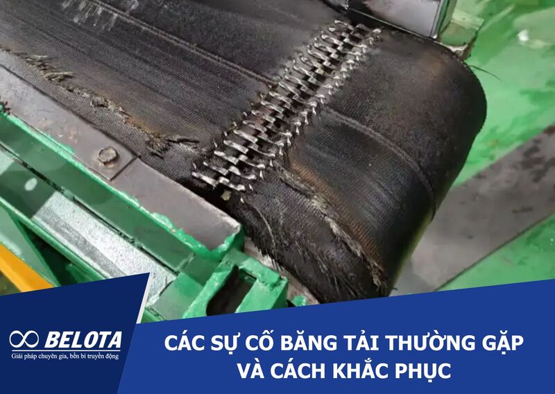Common Conveyor System Problems and Solutions